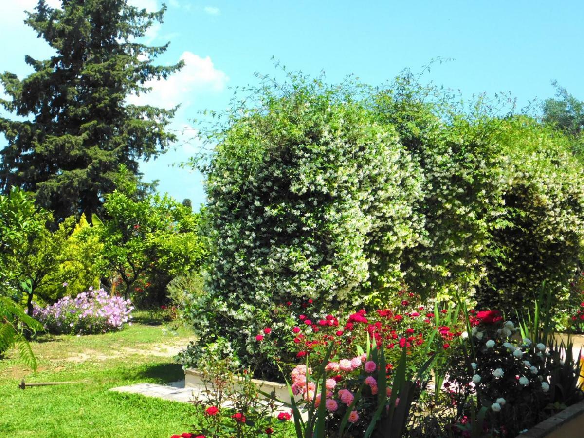 Olga'S Hill Villa Perama  Exterior foto